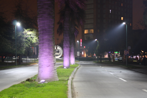 Palmeras Playa brava Iqq iluminadas por Schreder