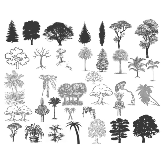 Brochas: Árboles / Brushes: Trees