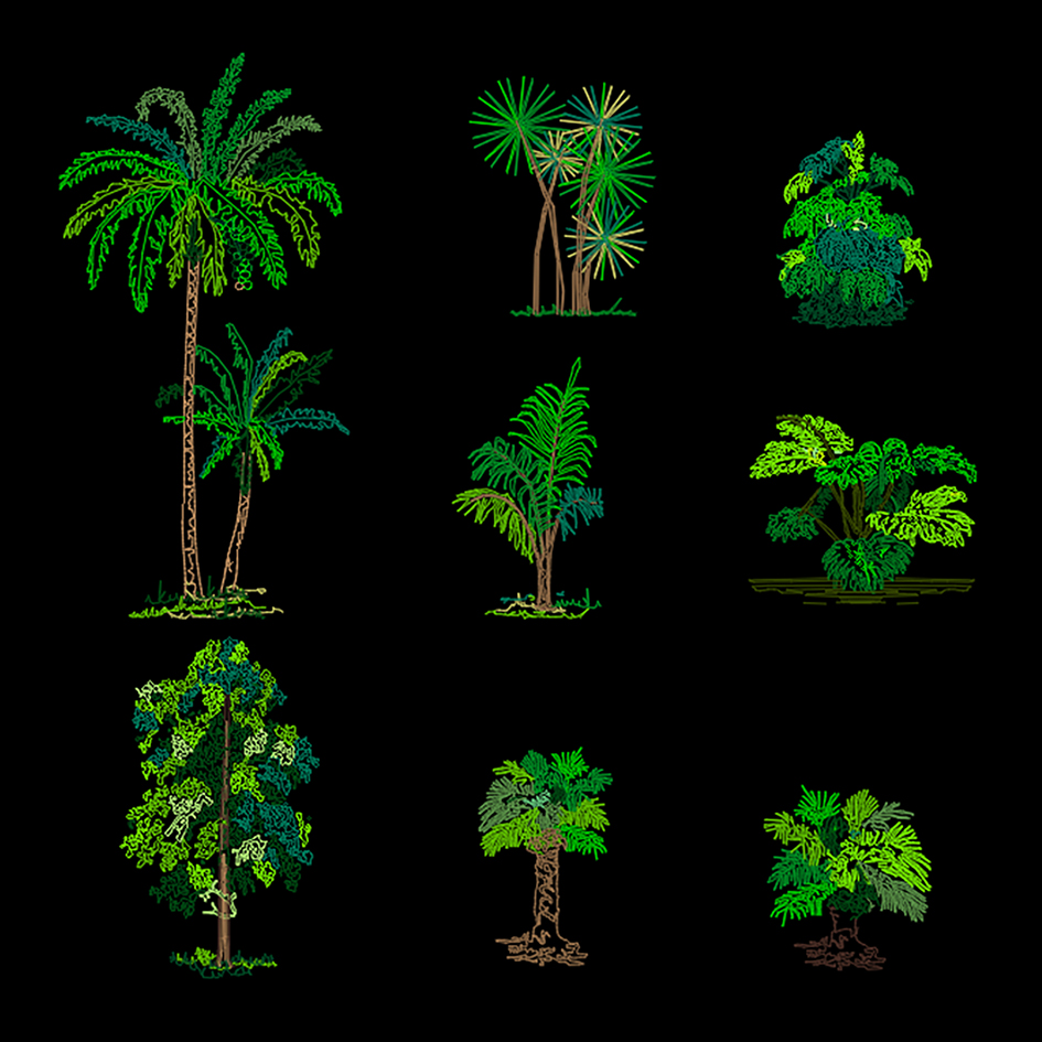 Bloques: Plantas Tropicales 